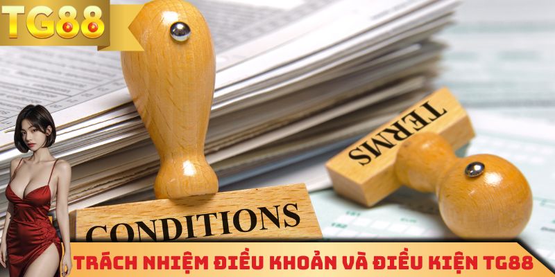 Trách nhiệm điều khoản và điều kiện TG88